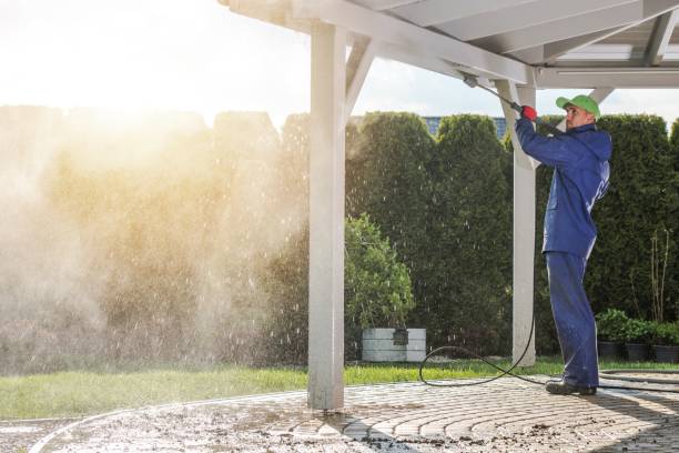 Best Animal Enclosure Cleaning  in Navasota, TX